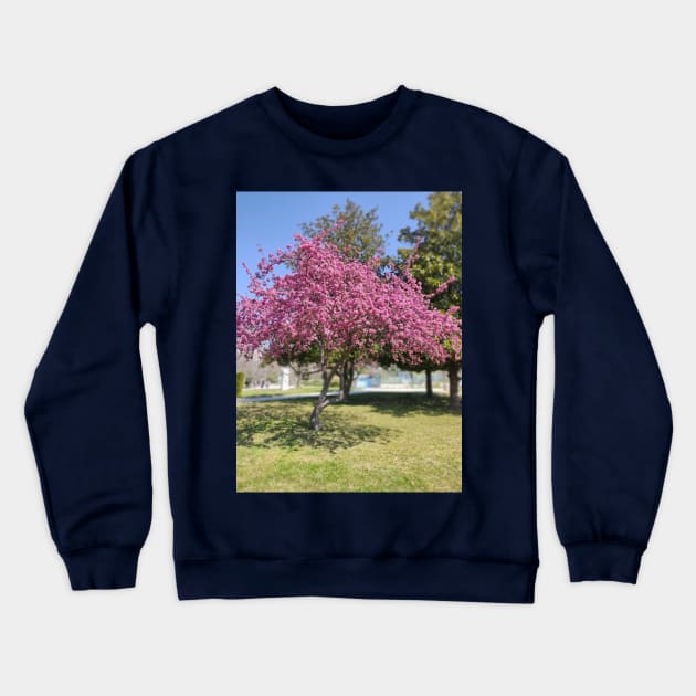 Cherry Blossom Spring Crewneck Sweatshirt by nelllkata